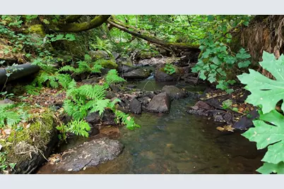 134 Boulder Street, Nevada City, CA 95959 - Photo 81