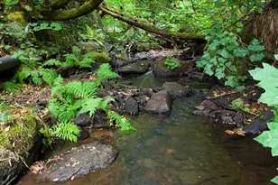 134 Boulder St, Nevada City, CA 95959 - Photo 81