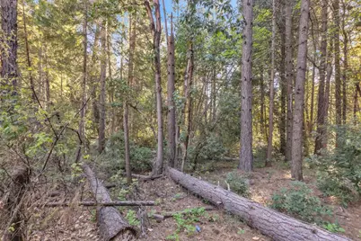 13134 Moonshine Road, Camptonville, CA 95922 - Photo 11