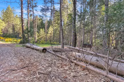 13134 Moonshine Road, Camptonville, CA 95922 - Photo 9