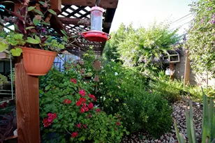 Live Oak Blvd, Yuba City, CA 95991 - Photo 37