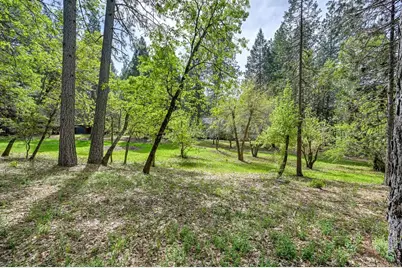 12528 Rattlesnake Road, Grass Valley, CA 95945 - Photo 37