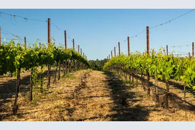 2385 Bald Hill Road, Auburn, CA 95603 - Photo 11