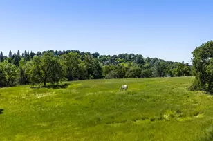2385 Bald Hill Rd, Auburn, CA 95603 - Photo 9