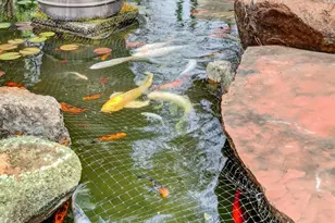 1203 Halidon Way, Folsom, CA 95630 - Photo 71