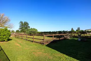 29209 Orange Ave, Escalon, CA 95320 - Photo 61