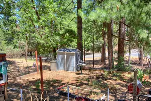 18119 Norlene Way, Grass Valley, CA 95949 - Photo 83