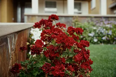 1455 Montauban Court, Tracy, CA 95304 - Photo 73