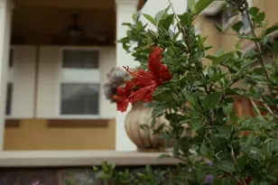 1455 Montauban Ct, Tracy, CA 95304 - Photo 57