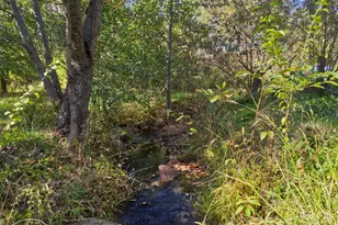 8436 Wise Rd, Auburn, CA 95603 - Photo 29