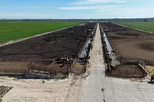 24916 S Manteca Rd, Manteca, CA 95337 - Photo 15