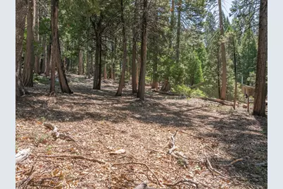 926 Shoshone, Camp Connell, CA 95223 - Photo 5