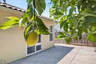 1777 Harwood Way, Sacramento, CA 95835 - Photo 53