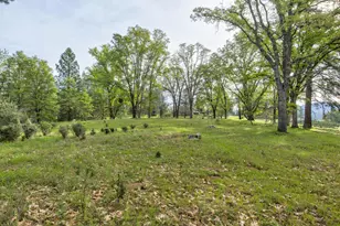 5196 Stagecoach Hill, Mountain Ranch, CA 95246 - Photo 57