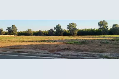 278 Lee Road, Nicolaus, CA 95659 - Photo 1