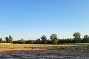 278 Lee Rd, Nicolaus, CA 95659 - Photo 1