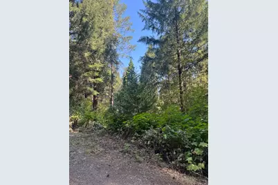 4920 Arctic Lane, Grizzly Flats, CA 95684 - Photo 15