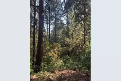 4920 Arctic Lane, Grizzly Flats, CA 95684 - Photo 19