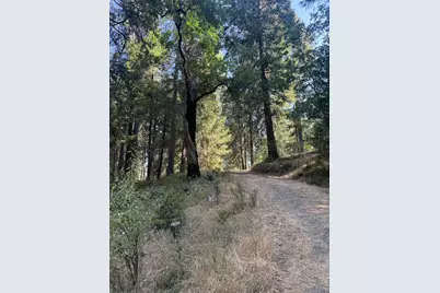 4920 Arctic Lane, Grizzly Flats, CA 95684 - Photo 11