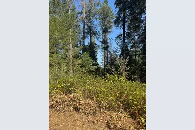 4920 Arctic Lane, Grizzly Flats, CA 95684 - Photo 17