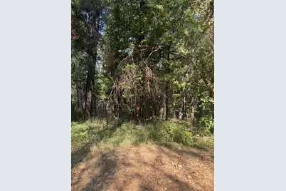 4920 Arctic Lane, Grizzly Flats, CA 95684 - Photo 23