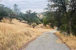 31578 Rd 400, Coarsegold, CA 93614 - Photo 15