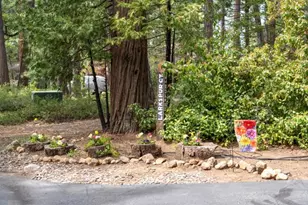 625 Larkspur Ct, Murphys, CA 95247 - Photo 25