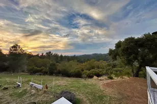 20210 Canyon View Rd, Jackson, CA 95642 - Photo 13
