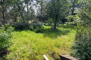 3085 Texerna Ct, Placerville, CA 95667 - Photo 35