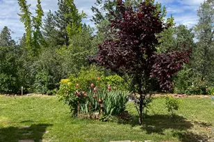 3085 Texerna Ct, Placerville, CA 95667 - Photo 7