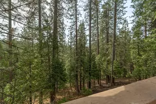 1856 Anna Lee Way, Arnold, CA 95223 - Photo 37