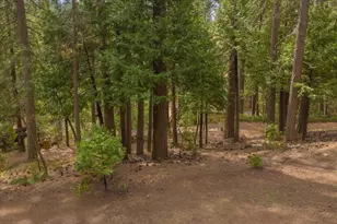 1856 Anna Lee Way, Arnold, CA 95223 - Photo 41