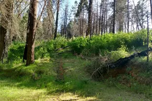 0 Shadow Pine Rd, Mountain Ranch, CA 95246 - Photo 1