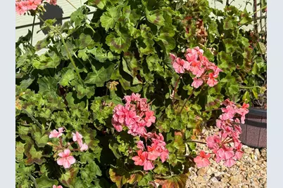 Capital Circle, Sacramento, CA 95828 - Photo 9