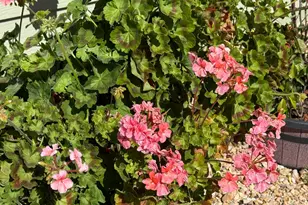 Capital Circle, Sacramento, CA 95828 - Photo 9