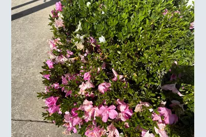 Capital Circle, Sacramento, CA 95828 - Photo 43