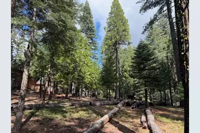 1510 Pawnee Drive, Dorrington, CA 95223 - Photo 5
