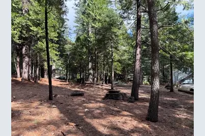 1510 Pawnee Drive, Dorrington, CA 95223 - Photo 3