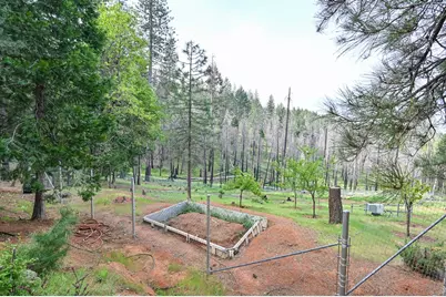 5194 Woodhaven, Grizzly Flats, CA 95636 - Photo 11