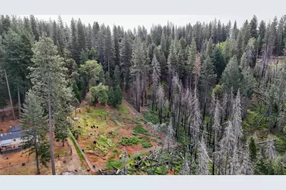 5194 Woodhaven, Grizzly Flats, CA 95636 - Photo 19