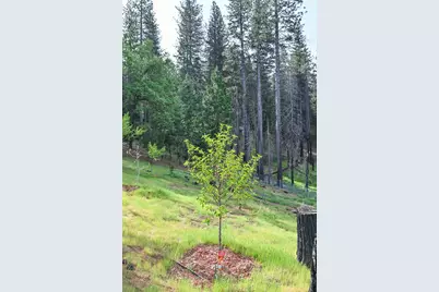 5194 Woodhaven, Grizzly Flats, CA 95636 - Photo 29