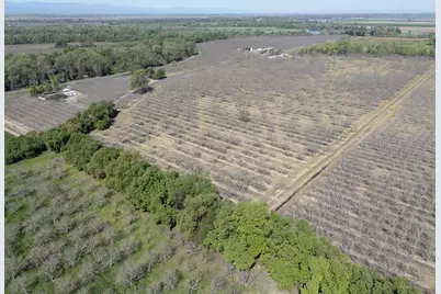 3869 River Road, Colusa, CA 95932 - Photo 29