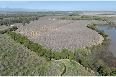 3869 River Road, Colusa, CA 95932 - Photo 57