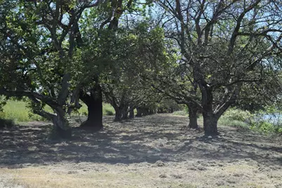 3869 River Road, Colusa, CA 95932 - Photo 17