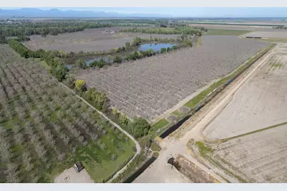 3869 River Road, Colusa, CA 95932 - Photo 51