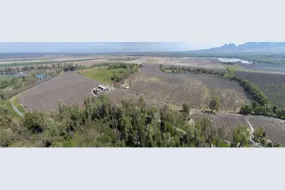 3869 River Road, Colusa, CA 95932 - Photo 53