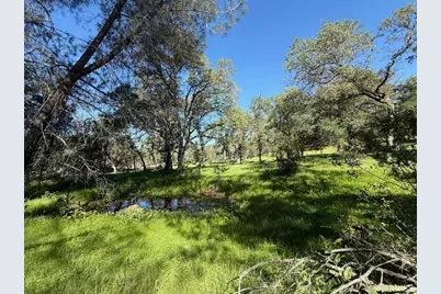 4565 Morgan Road, Angels Camp, CA 95222 - Photo 21