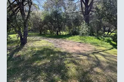 4565 Morgan Road, Angels Camp, CA 95222 - Photo 5