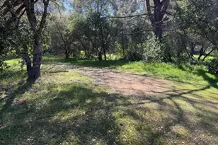 4565 Morgan Rd, Angels Camp, CA 95222 - Photo 5