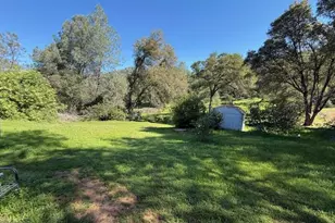 4565 Morgan Rd, Angels Camp, CA 95222 - Photo 13